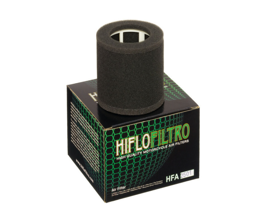 Filtre à air HIFLOFILTRO - HFA2501 Kawasaki EN500 Vulcan - 1097405