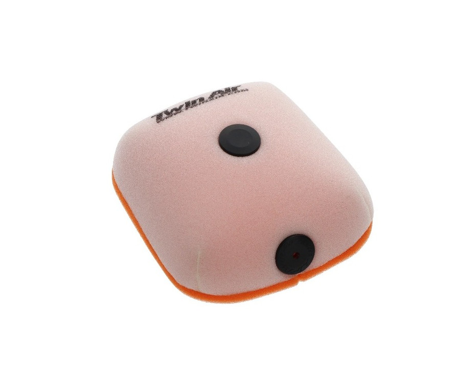 Filtre à air TWIN AIR - 158161 - 1111430