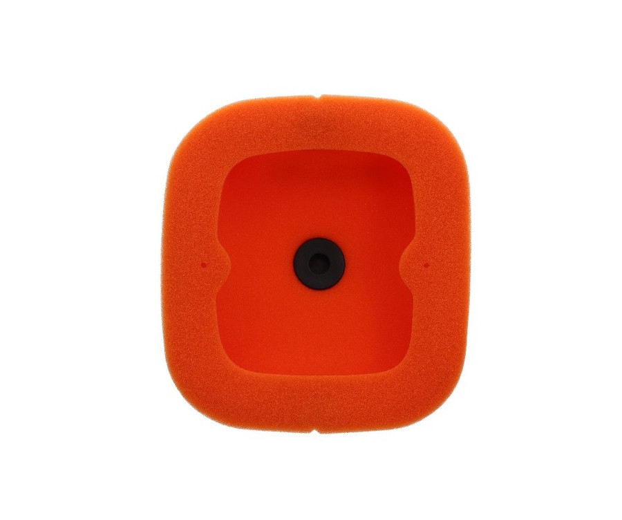 Filtre à air TWIN AIR - 158161 - 1111430