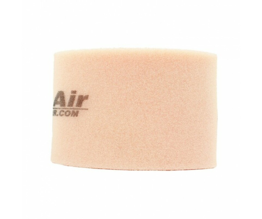 Filtre à air TWIN AIR - 151910 Kawasaki - 1097731