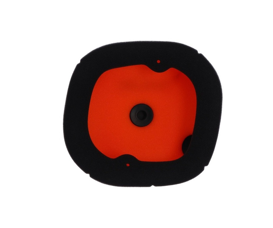 Filtre à air TWIN AIR - 158383 - 1125431