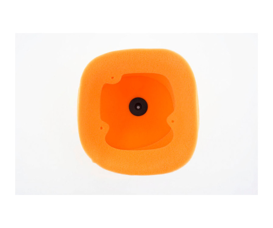 Filtre à air TWIN AIR - 158028 Beta RR - 1096913