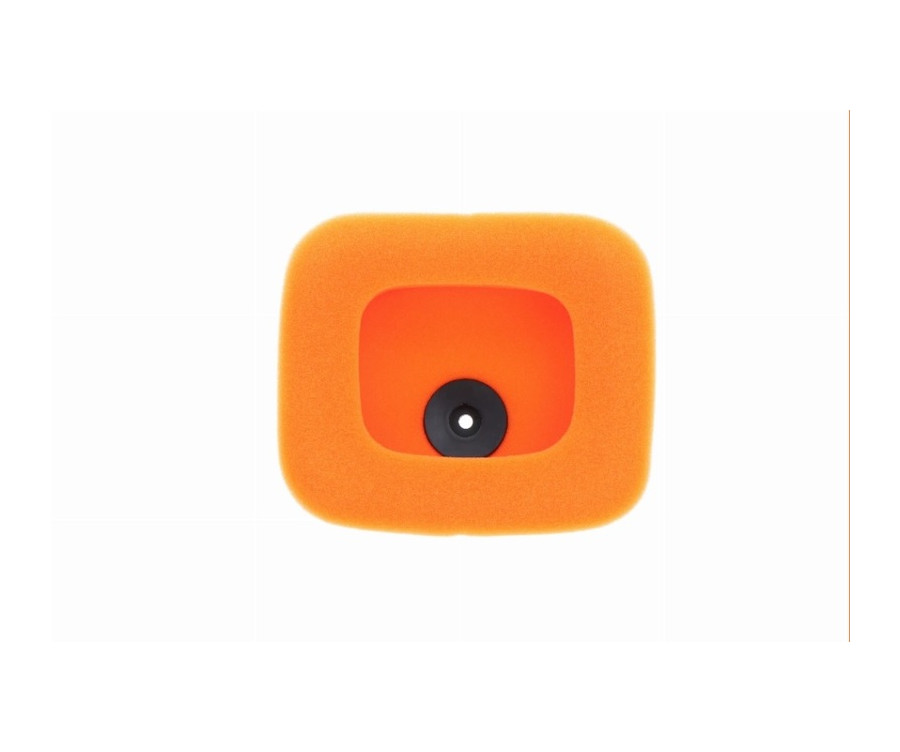 Filtre à air TWIN AIR - 158423 - 1122691