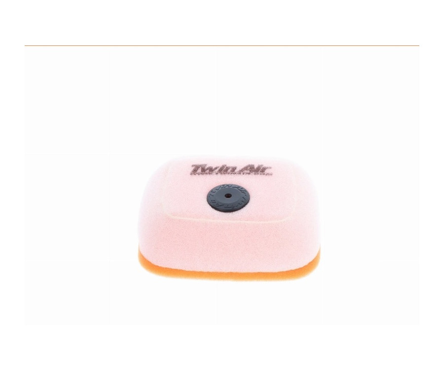 Filtre à air TWIN AIR - 158423 - 1122691