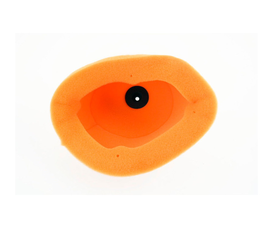 Filtre à air TWIN AIR - 158072 TM - 1096819