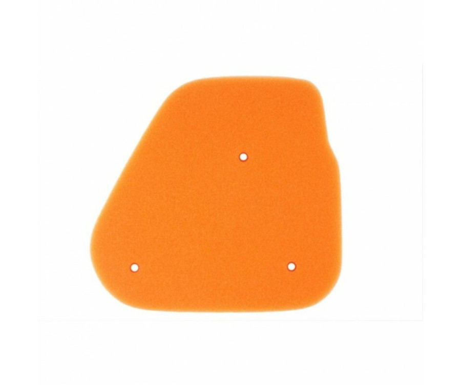 Filtre à air TWIN AIR - 156080 Polaris - 1096761