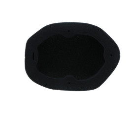 Filtre à air TWIN AIR résistant au feu - 151129FRX