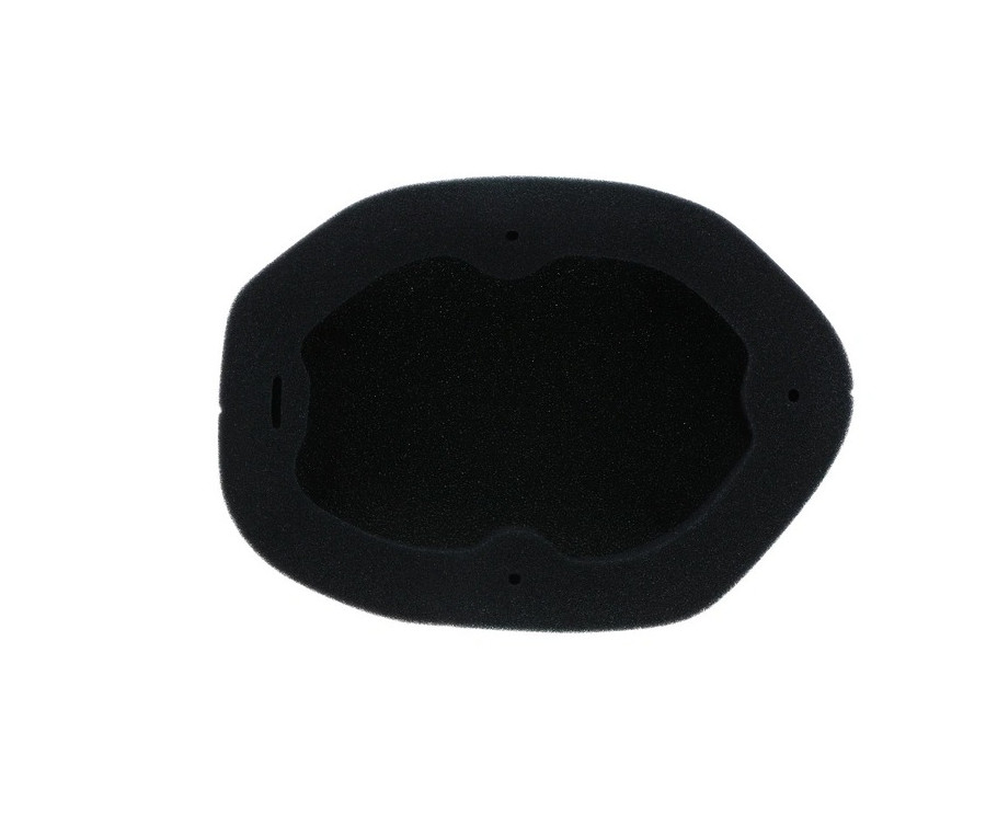 Filtre à air TWIN AIR résistant au feu - 151129FRX - 1124982