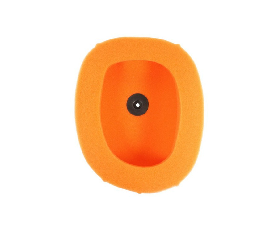 Filtre à air TWIN AIR - 150224 Honda CRF450R/RX - 1096944