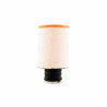 Filtre à air cylindrique TWIN AIR Ø63mm - 158724 - 1097059