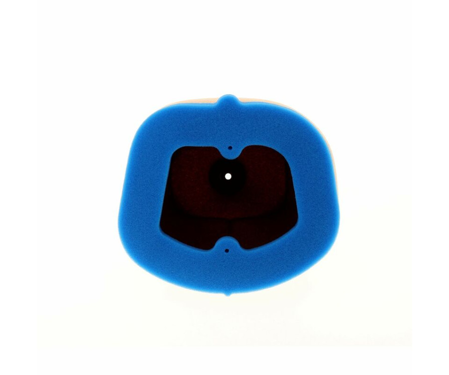 Filtre à air TECNIUM - 5132 Honda CRF450R - 1098842