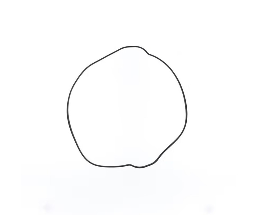 Joint de couvercle d'embrayage ATHENA - 1013612