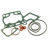 Joint haut-moteur CENTAURO - 1003137