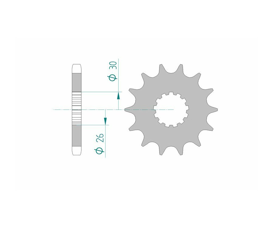Pignon AFAM acier standard 88800 - 530 - 1077149003