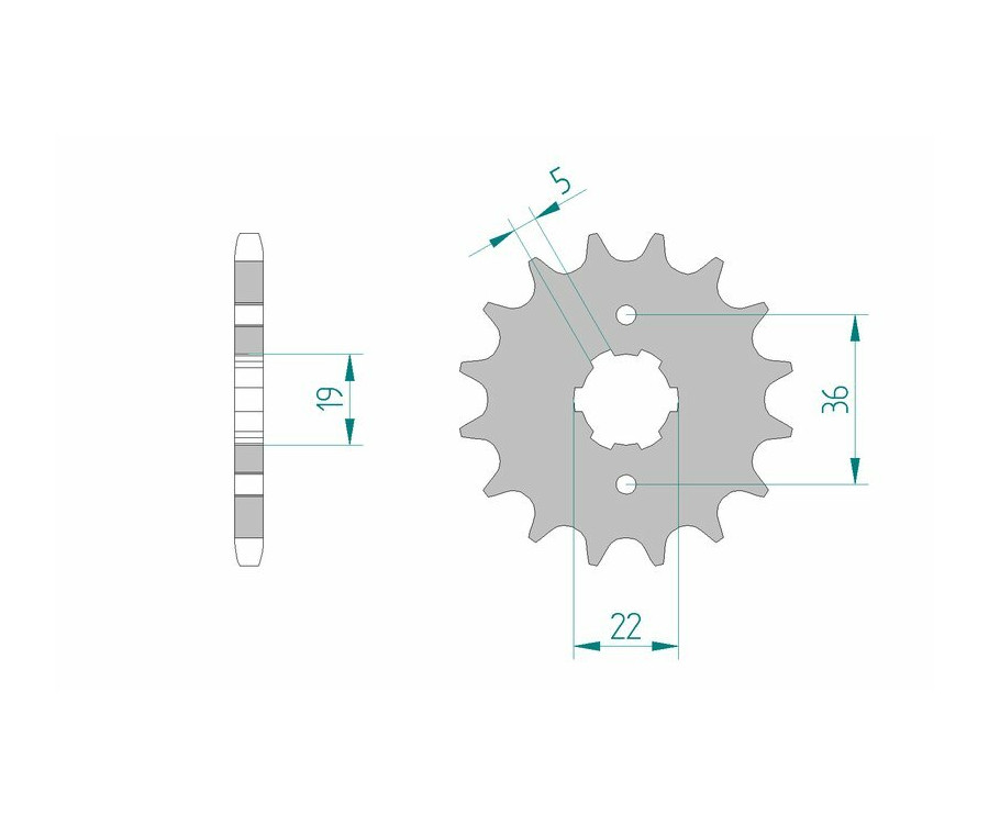 Pignon AFAM acier standard 21305 - 428 - 1075369001