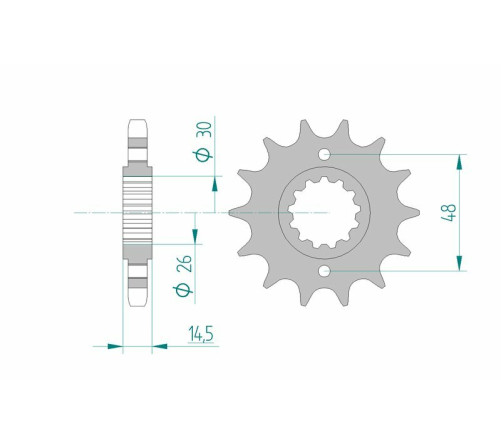 Pignon AFAM acier standard 20602 - 530