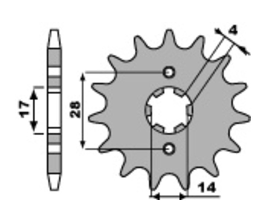 Pignon PBR acier standard 2107 - 420 - 1077569003
