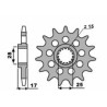 Pignon PBR acier standard 2250 - 520 - 1077620002