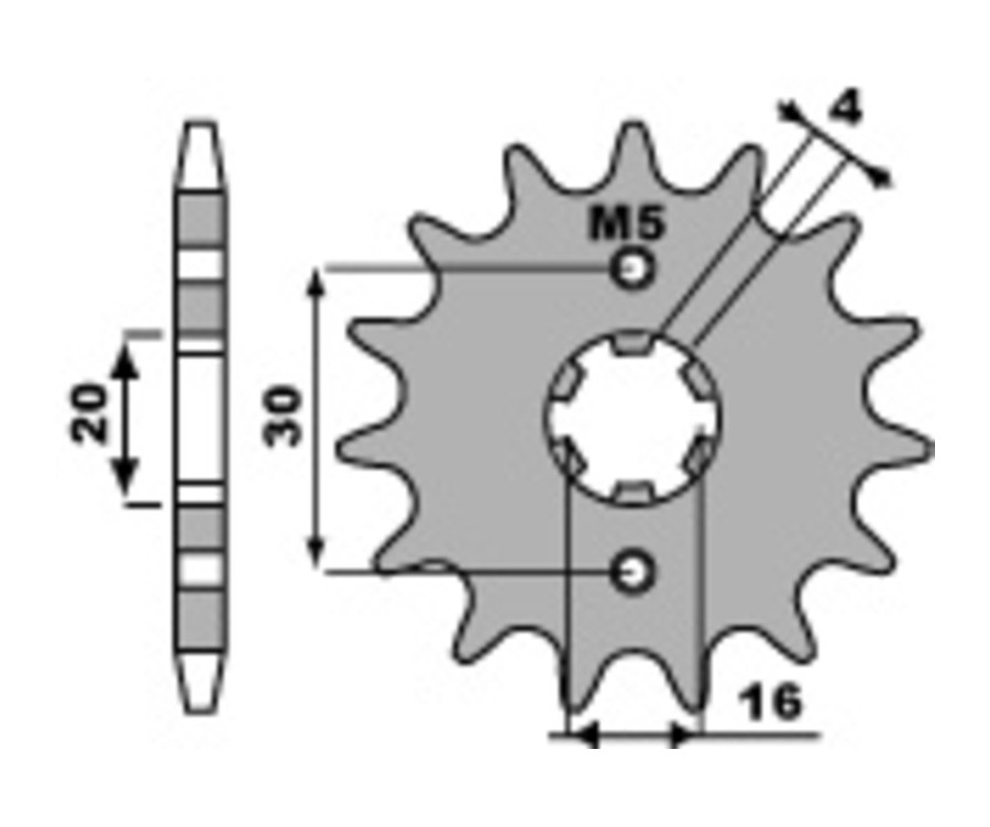 Pignon PBR acier standard 2177 - 428 - 1077596001