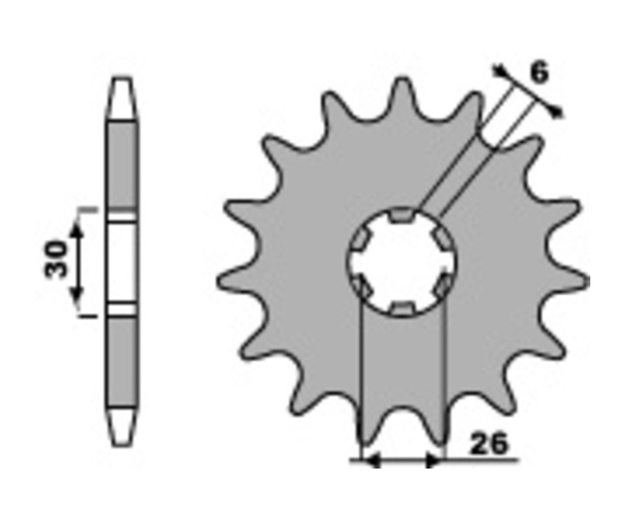 Pignon PBR acier standard 568 - 530 - 1077753002