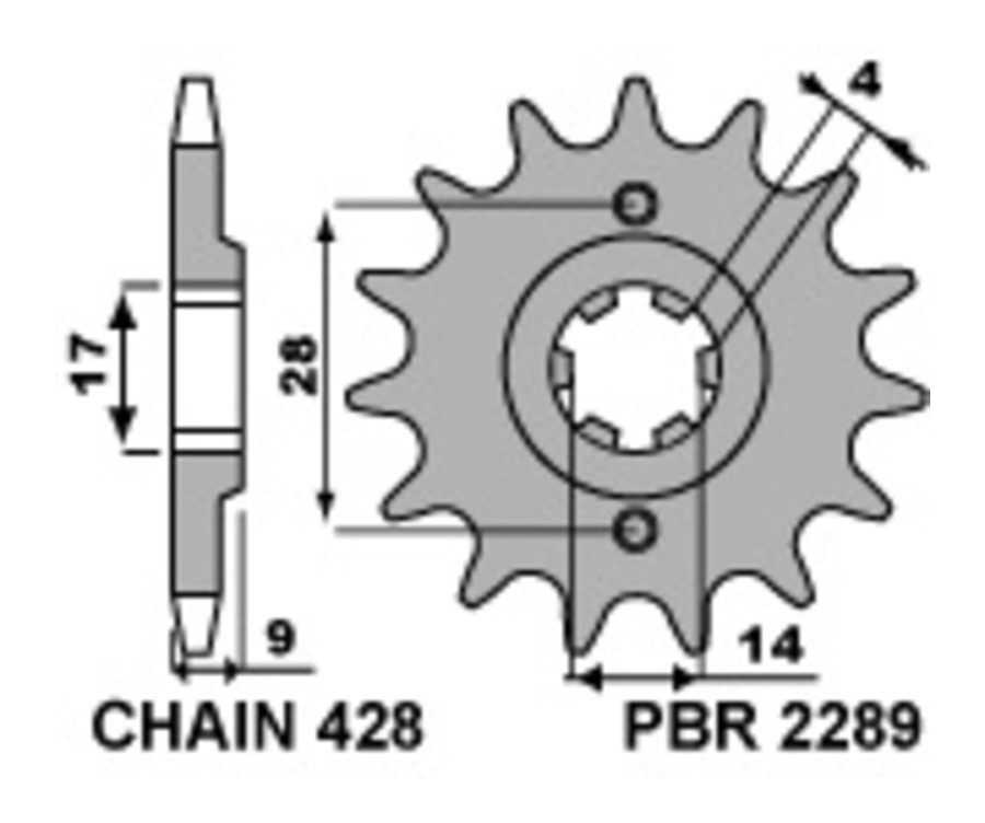 Pignon PBR acier standard 2289 - 428 - 1077629002