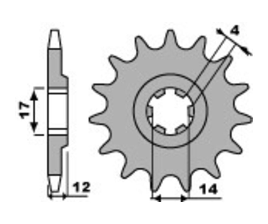 Pignon PBR acier standard 2223 - 428 - 1077616002