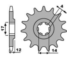 Pignon PBR acier standard 2223 - 428 - 1077616001