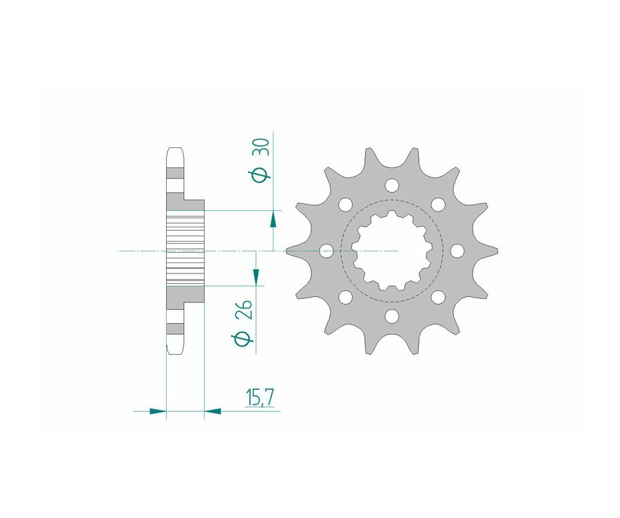 Pignon AFAM acier standard 20605 - 525 - 1075092002