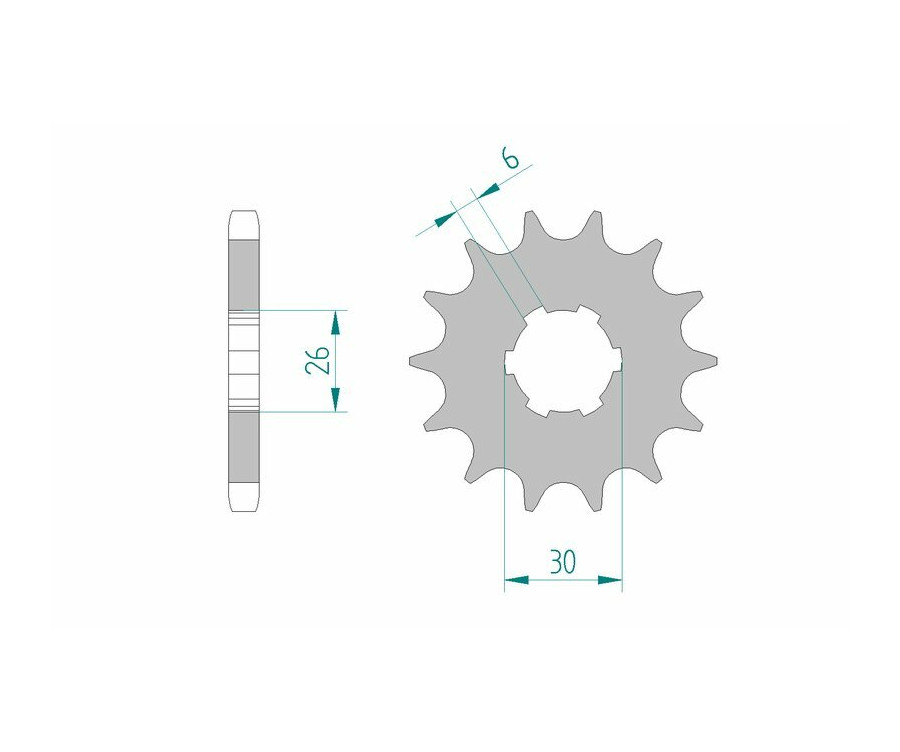 Pignon AFAM acier standard 21600 - 530 - 1075546001