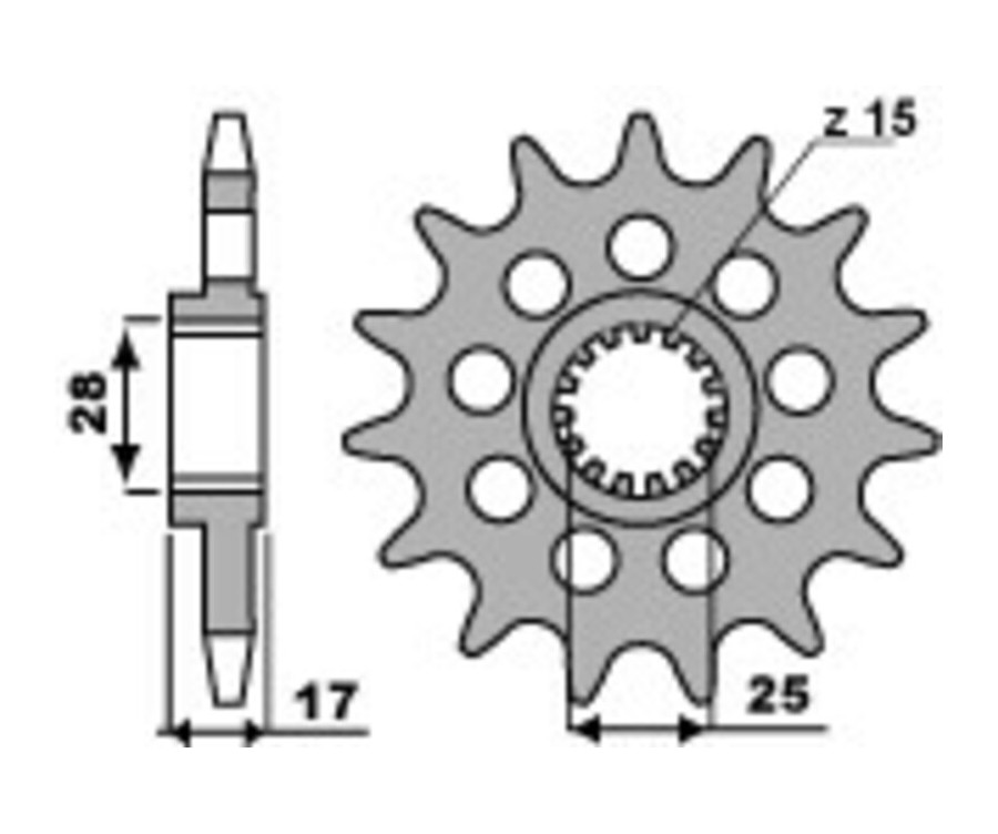 Pignon PBR acier standard 2249 - 525 - 1077619002