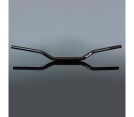 Guidon RENTHAL Fatbar 821 -  Street KTM Adventure - 1127048001