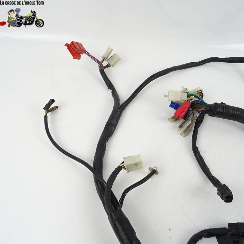 Faisceau électrique Yamaha 125 YBR 2006 - CTM-10014-017