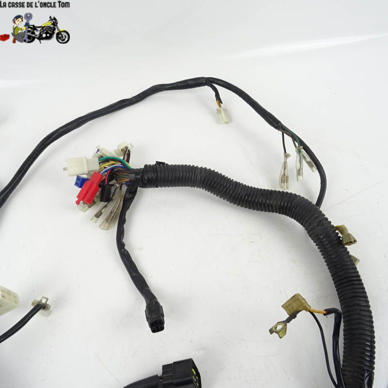 Faisceau électrique Yamaha 125 YBR 2006 - CTM-10014-017