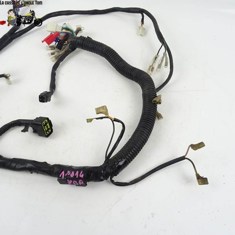 Faisceau électrique Yamaha 125 YBR 2006 - CTM-10014-017