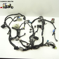 Faisceau éléctrique Kawasaki 650 Z650 RS 2022 - CTM-12920-058