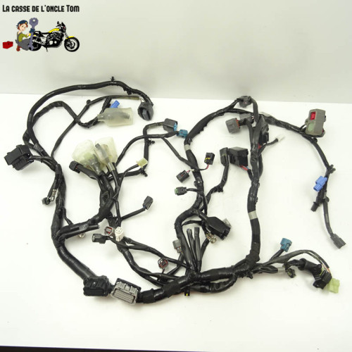 Faisceau éléctrique Kawasaki 650 Z650 RS 2022 - CTM-12920-058