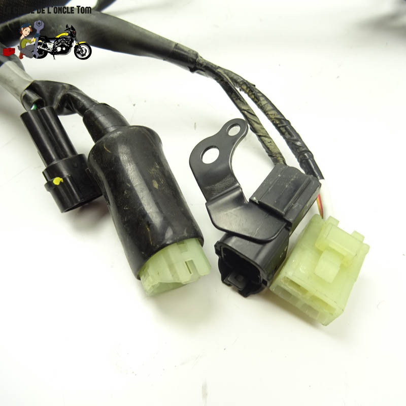 Faisceau éléctrique Kawasaki 650 Z650 RS 2022 - CTM-12920-058