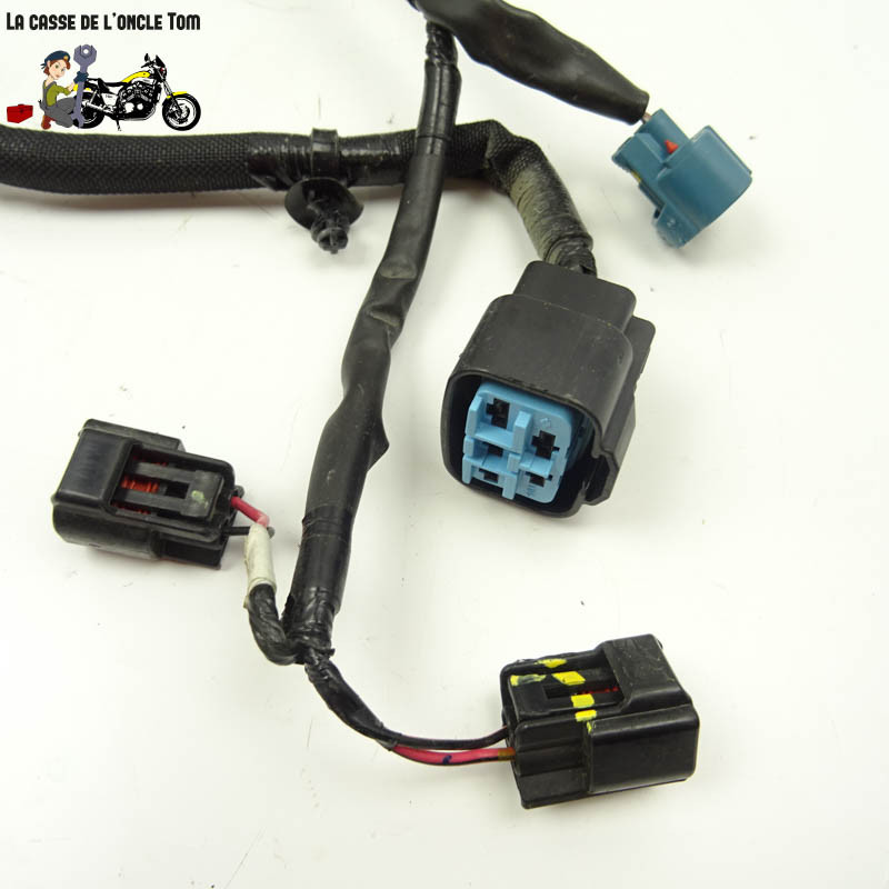 Faisceau éléctrique Kawasaki 650 Z650 RS 2022 - CTM-12920-058