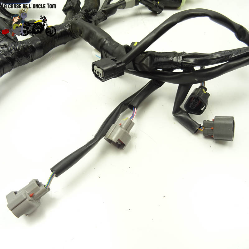 Faisceau éléctrique Kawasaki 650 Z650 RS 2022 - CTM-12920-058