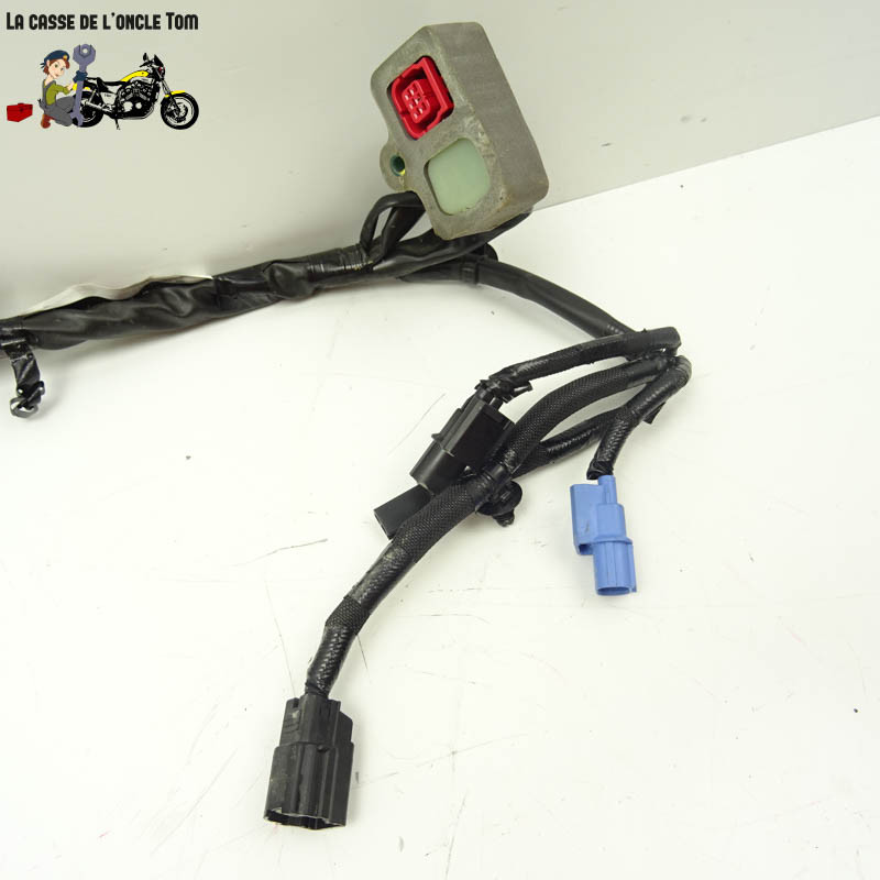 Faisceau éléctrique Kawasaki 650 Z650 RS 2022 - CTM-12920-058