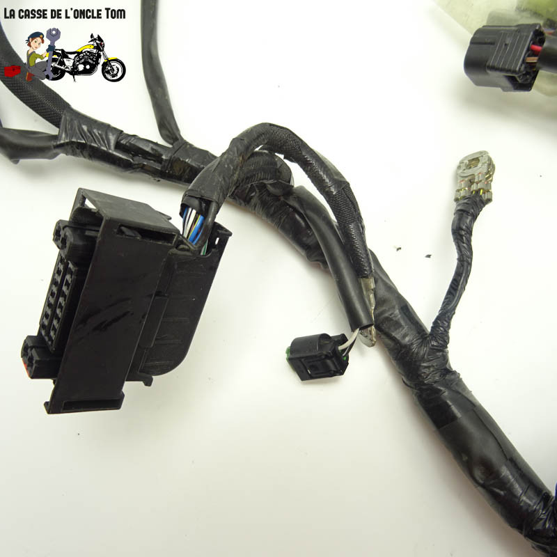 Faisceau éléctrique Kawasaki 650 Z650 RS 2022 - CTM-12920-058