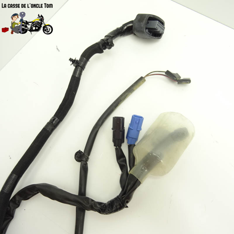 Faisceau éléctrique Kawasaki 650 Z650 RS 2022 - CTM-12920-058