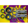 KIT REPARATION DE BRAS OSCILLANTS POUR YAMAHA YZ125 1993-97 - 1047483