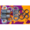 KIT REPARATION DE BRAS OSCILLANTS POUR KAWASAKI KX250 1996-97 - 1047457