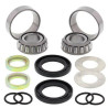 Kit roulements de bras oscillant ALL BALLS Kawasaki - 1039631