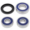 Kit roulements de roue arrière ALL BALLS Kawasaki - 1039876