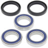 Kit roulements de roue arrière ALL BALLS - 1039795