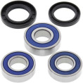 Kit roulements de roue arrière ALL BALLS Suzuki DR-Z400/E/S/SM Kit roulements de roue arrière ALL BALLS Suzuki DR-Z400/E/S/SM