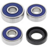 Kit roulements de roue arrière ALL BALLS - 1039801