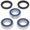Kit roulements de roue arrière ALL BALLS Suzuki RM125/250 - 1039935